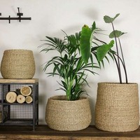 Maceta de algas marinas para interior, cubierta de macetas, contenedores de plantas