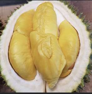 DURIAN FRESCO PREMIUM, MONTHONG DE ALTA CALIDAD, DURIAN RI6 PARA CONSUMO FRESCO, SUPERMERCADOS Y EXPORTACIÓN GLOBAL / Sra. Lily Ngo - Product Image 4
