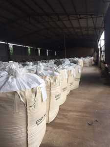 CORN SILAGE WITH for ANIMAL FEED CORN SILAGE - Product Image 3