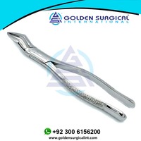 Forceps d'extraction dentaire GOLDEN Incisor en acier inoxydable, instruments dentaires équins, pince à dents pour chevaux GSIB-100220
