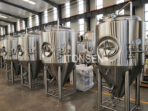 Tonsen Offre Spéciale unitanks bière réservoirs <span class=keywords><strong>de</strong></span> fermentation cuve <span class=keywords><strong>de</strong></span> fermentation avec pas cher <span class=keywords><strong>prix</strong></span> - Product Image 3