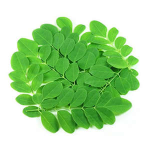 Poudre de morinja, meilleures ventes - Product Image 5