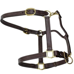 Calidad Superior marrón cuero genuino caballo Halter suave acolchado nariz banda diseño anatómico comodidad óptima duradero frotar - Product Image 4