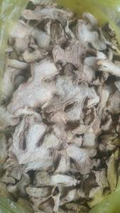 ANGLE Gingembre frais et d'ail tranché et séché du Viet Nam - Product Image 4