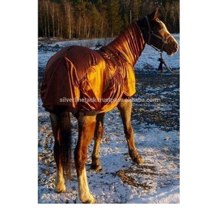 घोड़ा एक्जिमा रग्स सुरक्षा फ्लाई स्चर - Product Image 2