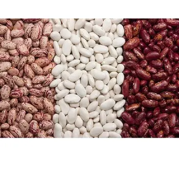 KIDNEY BEANS FOR WHOLESALE