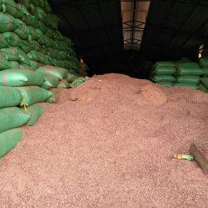 Granulés de coque de noix de cajou 3mm+ pour l'alimentation animale et le carburant, exportés du Vietnam, durée de conservation de 18 mois - Product Image 6