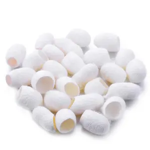 Dry Silkworm cocoon from Vietnam cotact us get best price