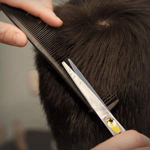 Tijeras Profesionales para Cortar Cabello con Tornillo de Tensión Ajustable y Reposamanos Desmontable Plateadas para Barbería - Product Image 2