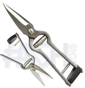 Foot Rot <b>Shears</b> Polished Stainless Steel <b>Sheep</b> Farrier Hoof Trimming Clippers - Product Image 5