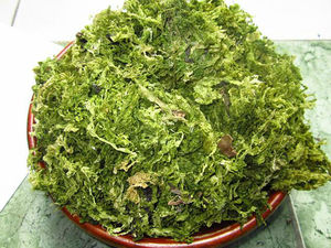 ผงสาหร่ายสีเขียวแห้ง-ulva Lactuca // นางสาวลิมา - Product Image 2