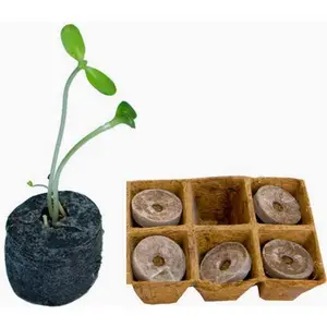 COCO PEAT Rooting Plug/Coco Peat Discs/ COCO COIR BRICK for planting with BEST PRICE 2023