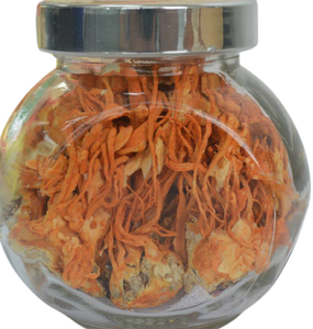 Cordyceps Militaris de Cosecha 2021 de Fábrica - Hongo Seco Cultivado por el Fabricante, Calidad Sostenible - Product Image 5