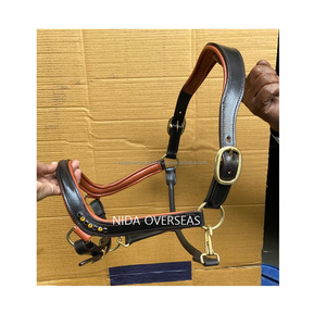Licou en cuir de conception de selle anglaise élégante de haute qualité avec des cristaux selle anglaise anatomique - Product Image 1