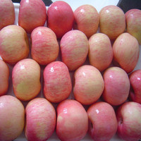 Zoete Knapperige Zoete Verse Biologische Premium Rode Royal Gala Appels 8,5kg Zuid-Afrika Groothandel