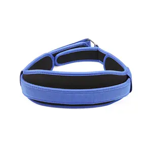 Cinturones de entrenamiento de fuerza de neopreno, cinturón de levantamiento de pesas para gimnasio - Product Image 1