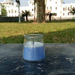 Velas Aromáticas de Lujo Personalizadas de la Marca Caro CC200322, Color Gris Claro, en Envases de Vidrio, con Aroma a Soja, de Vietnam, Venta al Por Mayor - Product Image 1