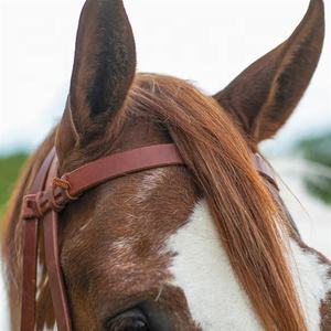 Harnais double S de qualité supérieure en cuir, bride à traction latérale, muserolle décorative, équipement d'équitation anglais durable - Product Image 6