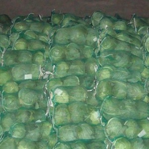 Bán Buôn Màu Xanh Lá Cây Tươi Bắp Cải Từ Việt Nam - Product Image 2