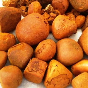 <b>Ox</b> Gallstones Clean and Whole Shaped Gallstones Orange Brown Color Without Broken Chips - Product Image 1