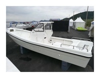 Bateau de pêche P-a-n-g-a à coque en fibre de verre de 26 pieds avec moteur à vendre