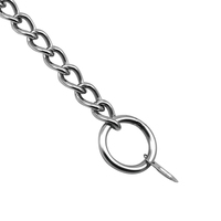 Collier d'entraînement pour chien en acier inoxydable 304 de haute qualité, classique, solide, en gros, chaîne de serrage, s'adapte à la plupart des laisses, animal de compagnie haut de gamme