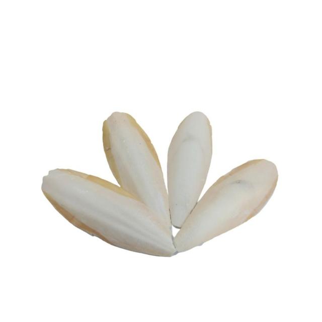 Cuttlefish Bone / Dried Washed Cuttlefish Bone / Fresh Cuttlefish Bone ( Shyn Tran )