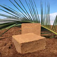 Camarão de fibra de coco lavado comprimido, crescimento de tijolos médios de coco é viável alternativa ao esfregão