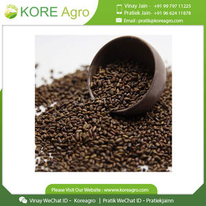 Graines supérieur en cafin, 2 pièces sans café, graines Tora originales, disponibles en Stock, prêt à l'exportation depuis le fournisseur breveté - Product Image 4