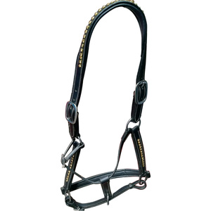 QUIERO VENDER Fancy Leather negro Halter Top dorado EN DÓLARES 6 full COB Shetland - Product Image 2