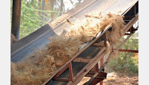 Fibre de coco séchée de couleur brun doré provenant de l'emballage de balles de fibre de coco crue-Ms. Florence - Product Image 4