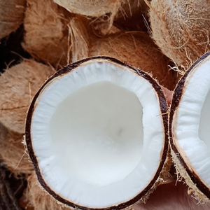 Noix de coco séché entièrement en haute qualité, au meilleur prix depuis VIET nico/whatsapp + 84 845 639 639 - Product Image 1