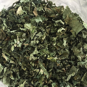 ใบมะละกอแห้ง/ใบมะละกอเขียวจากเวียดนาม // Maris + 84 896611913 - Product Image 1