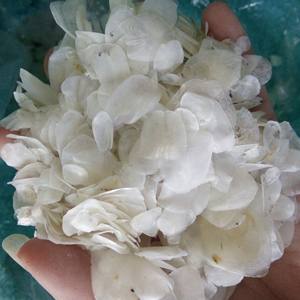 Escamas de Pescado Secas Orgánicas de Vietnam 100% Naturales - Producción de Colágeno, Empaque a Granel 1MT MOQ Alice +84 904 183 651 - Product Image 1