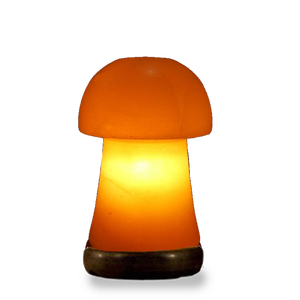 Lámpara de Sal Rosa del Himalaya con Diseño Floral, Tallada a Mano y Pulida, Decoración para el Hogar NSLT NSLT-293 - Product Image 1