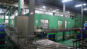 500ml NAWON botella de 100% puro a granel de jugo de arándano bebida - Product Image 4