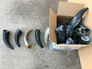 Bocina de vaca sin procesar, producto caliente, producto con cuerno natural y pulido, el mejor color - Product Image 6