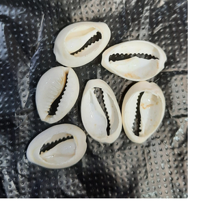 Cuentas de Cristal y Vidrio Hechas a Mano, Blancas con Orificio, para Artistas de Joyería y Tiendas de Cuentas - Product Image 2