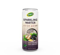 100% Natuurlijk Gesteriliseerd Calorievrij Sprankelend Perzik-Lime Frisdrankje 320ml Geblikte Verzamelde Kleurstof Gezonde Suiker-Vrije Drank Halal