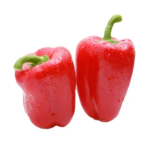 Hoge Kwaliteit Rode Verse Cayenne Peper Hot Voor Wereldwijd Kopers