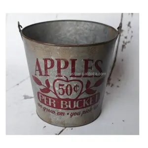 Galvanized apple print customized metal hudson bucket for garden with handle in different design garden planter round bucket