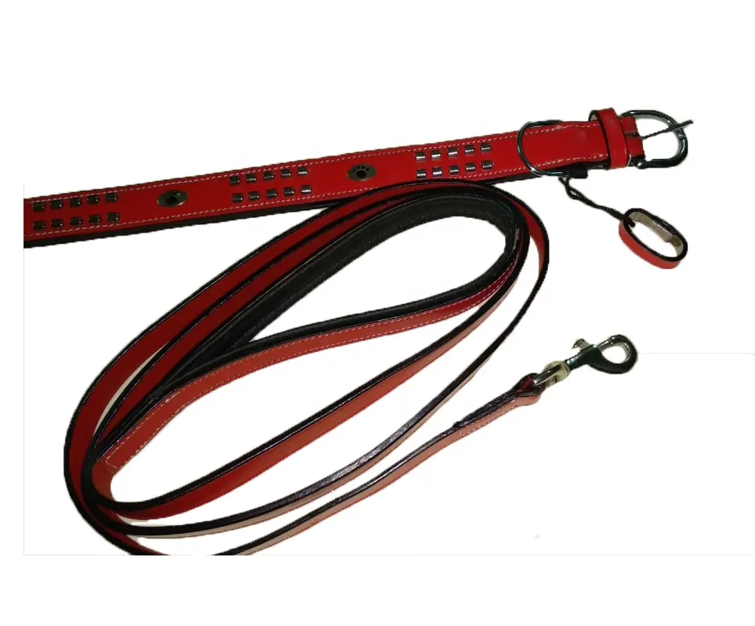 Premium Red Leather Padded Dog Pet Collar & Leash Suppliers