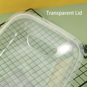 <span class=keywords><strong>Plateau</strong></span> en plastique Transparent pour salade, légumes, contenants transparents pour aliments, à emporter, vente en gros, récipients, 10 pièces - Product Image 4