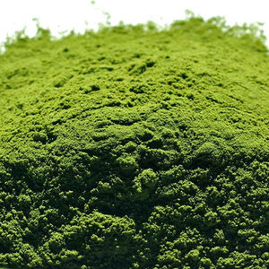 Moroligra de société Gia ngulin, - Product Image 6