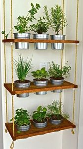 Galvanized polished and multi colors powder coated planter hanging <b>flower</b> pots and planters for indoor and outdoor plants - Product Image 2