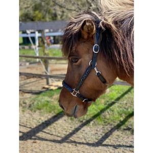 Standard Quality Leather <b>Halter</b> with Rock Stone Brass Fitting Ready for Riding Factory Price Wholesale - Product Image 6