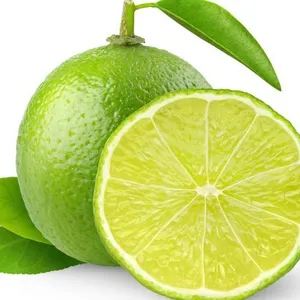Citron vert sans graines de haute qualité avec certificat global slot
