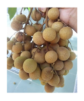 Bestverkopende Logan Tropisch Fruit Voor Export Verse Producten Uit Vietnam