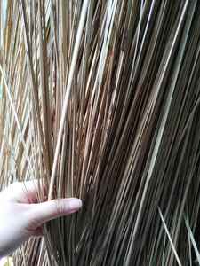 Palos de escoba, hoja de coco - Product Image 3