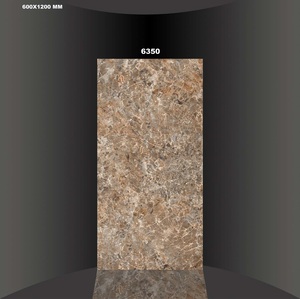 CARRELAGES DE SOL EN CÉRAMIQUE D'INDE 60x120cm - Product Image 5